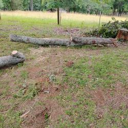 Free Fire  Wood 