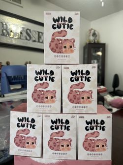 Wild but cutie single Box