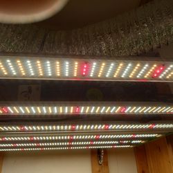 720watt LED Grow Lights 7ea available