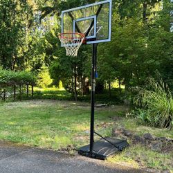 Lifetime Portable Basketball Hoop