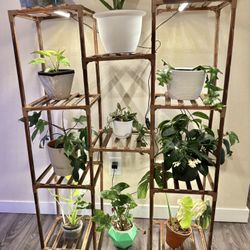 New Shelf With 4 Grow Lights And Timer 8/10 Or 12 Hours 