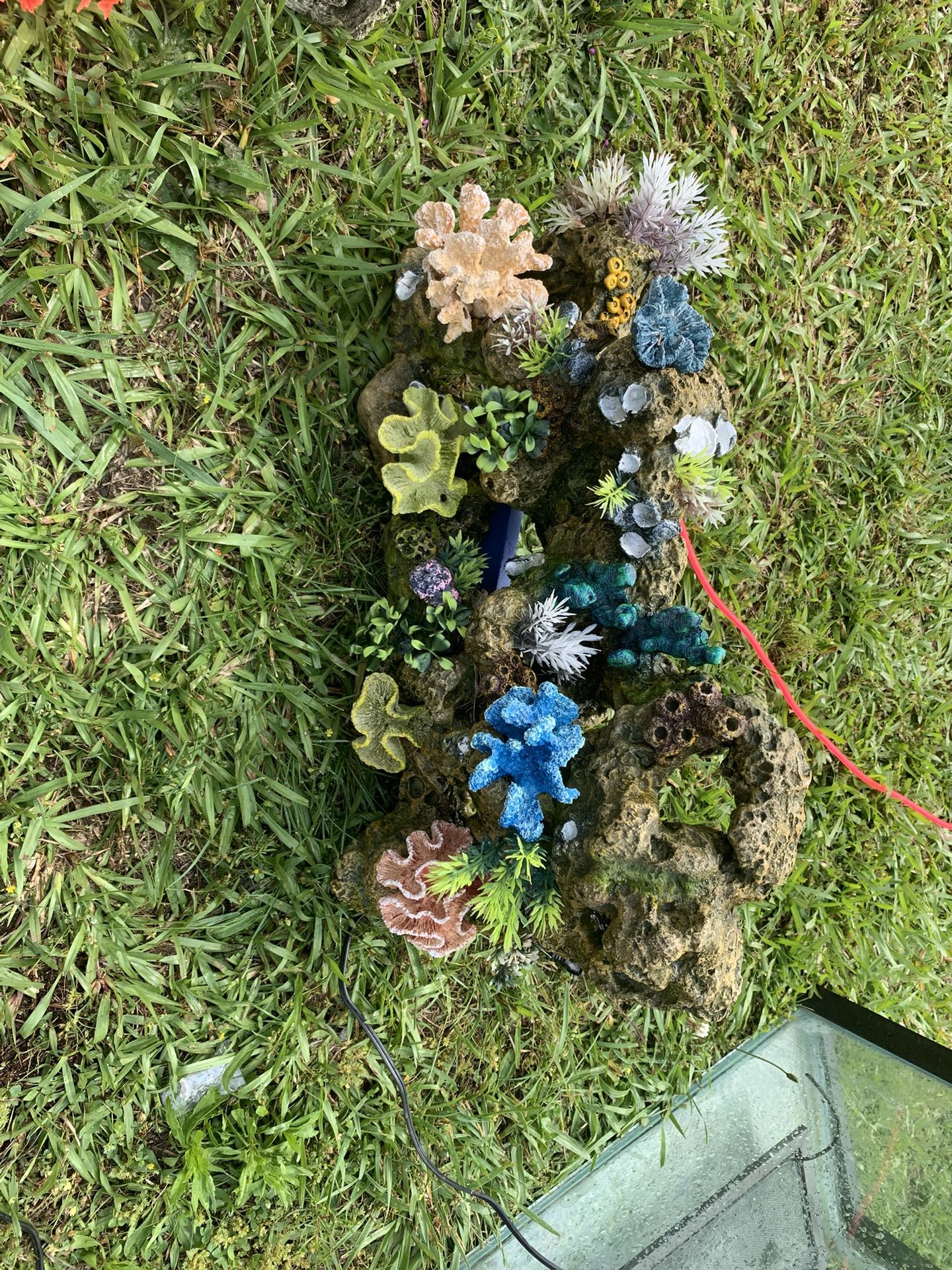 Fish Decor & Bubbler