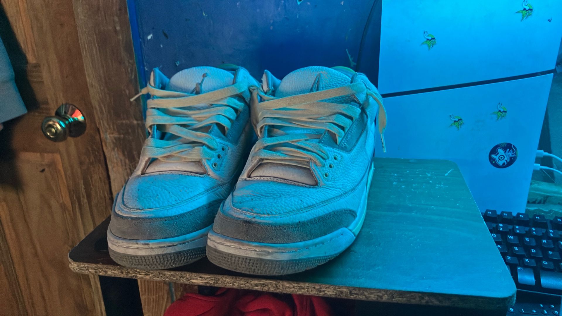 Jordan 3s Size 12