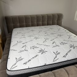 Brand New Bed 