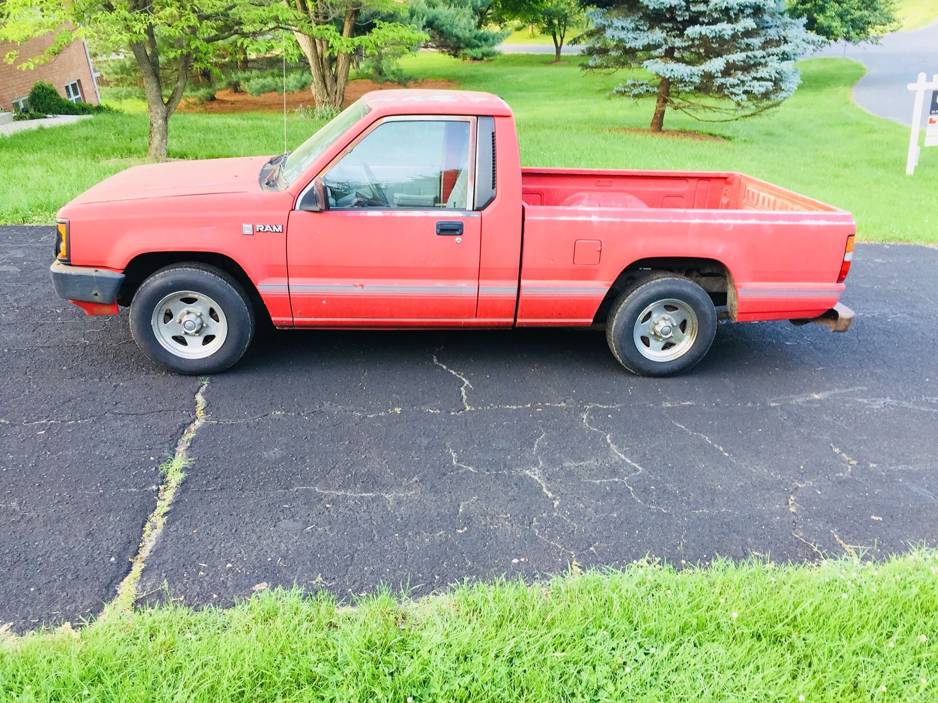 Dodge Ram 50 pickup, 1987. Runs strong, has been very handy for my needs.