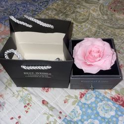 Preserved Pink Rose, With A Heart-Shaped Necklace “I Love You” In 100 Languages 