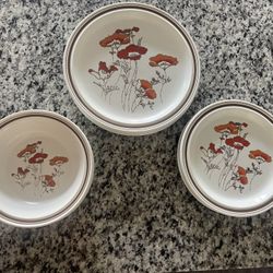 12 Piece Vintage Dinnerware Set 