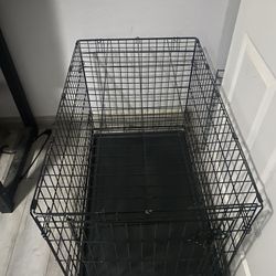 Dog Cage 
