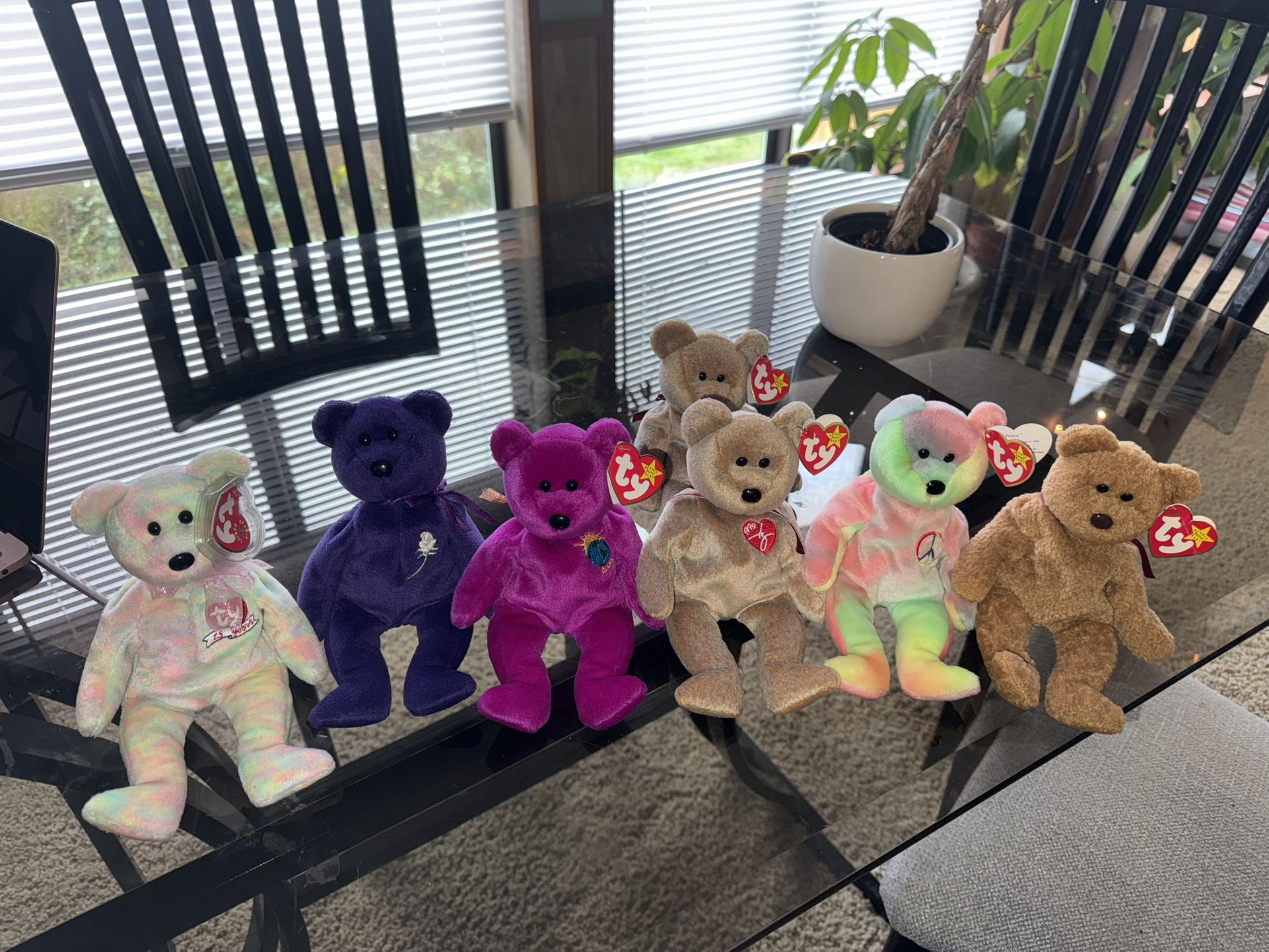 Beanie Baby Bear Collection – Rare/Retired Styles – Great Condition