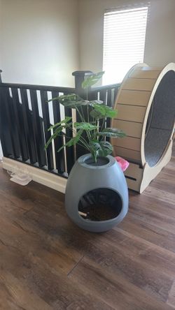 Hidden plan litter box
