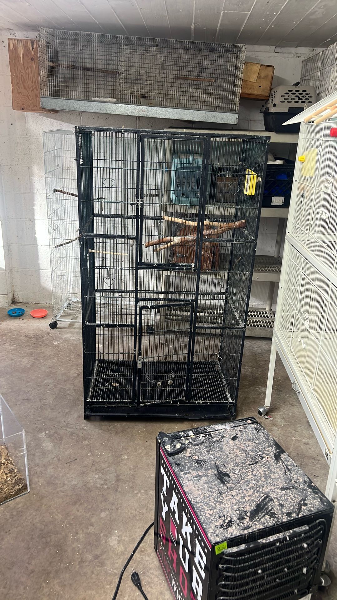 Black Bird Cage