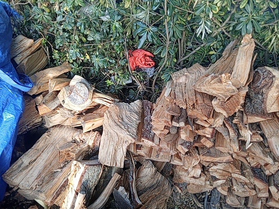 Firewood
