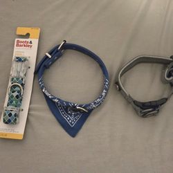 Size Small Dog Collars