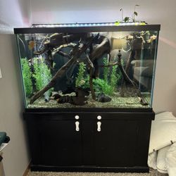 150 Gallon Tall 