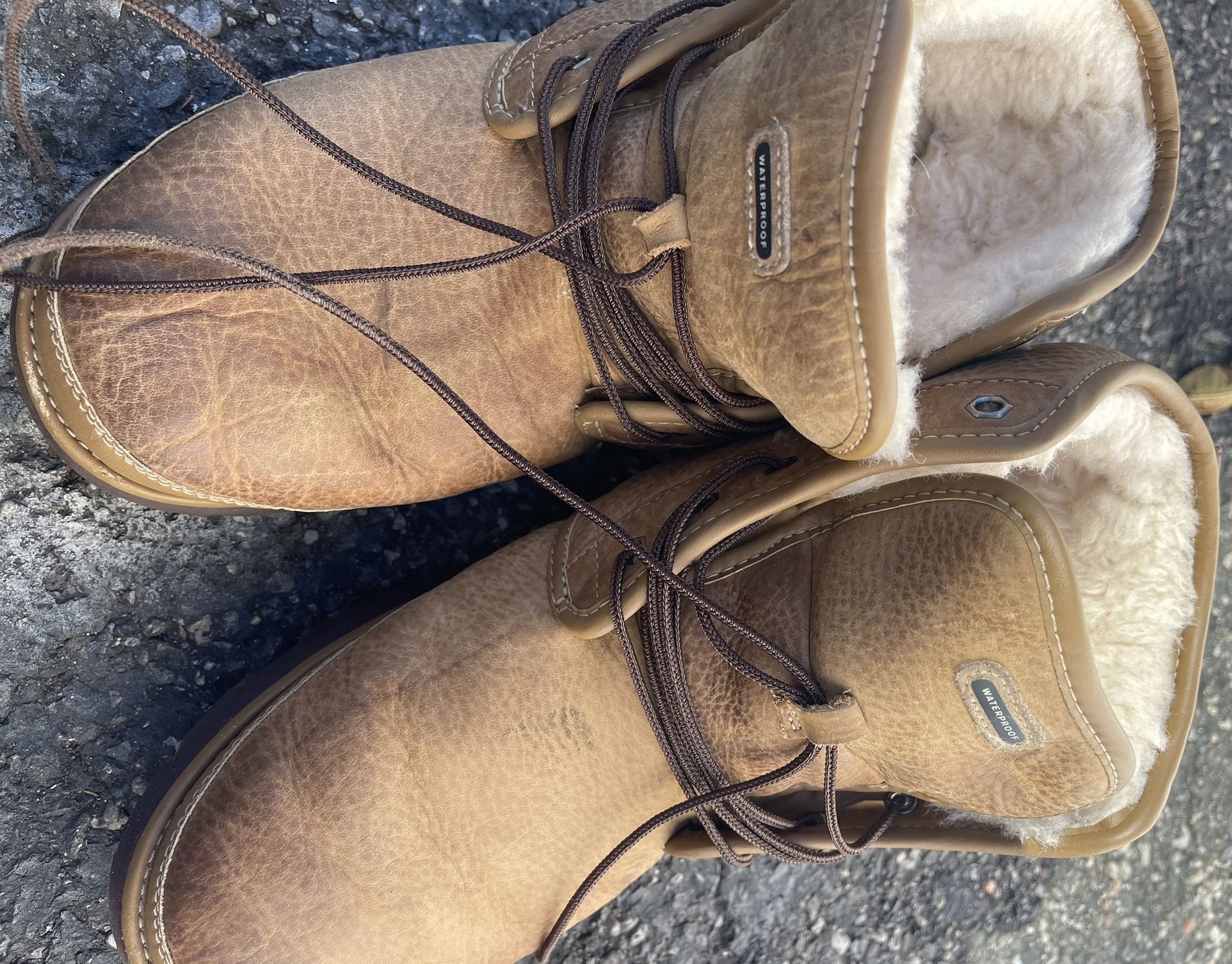 Men’s Uggs