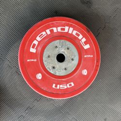 Olympic Bumper Weights Plates 25kg Single Pendlay USA 55lbs Total
