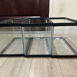 5 gallon fish tank