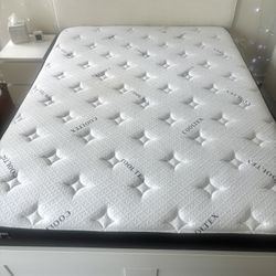 BRAND NEW QUEEN MATTRESS