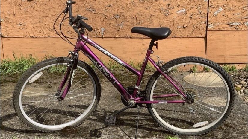 Next Elevation Mountain Bike