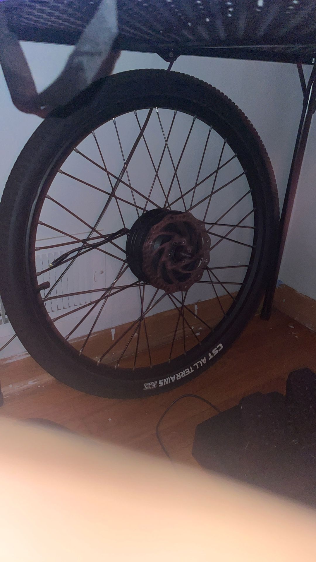 Ebike Motor