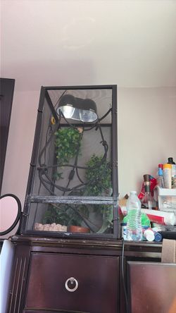 Chameleon cage