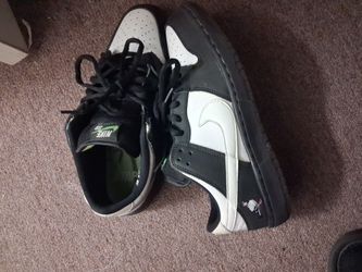 Nike sb pigeons