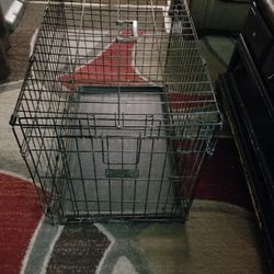 Dog Kennel 