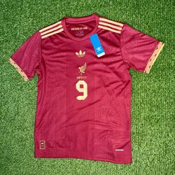 Mexico Jersey "Raúl 9" 