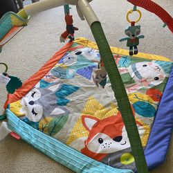Baby Play Mat