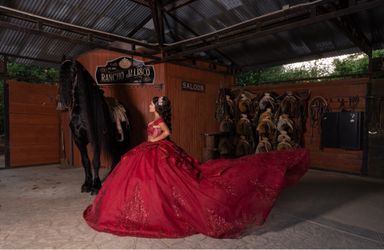 Quince dress