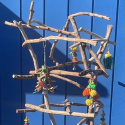 African Grey / Amazon Parrot Perch Tree - Custom Made AAA+ Quality …. A Birdee Must Have !!