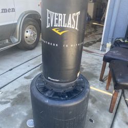 Everlast Bag