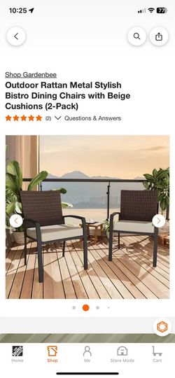 Outdoor Rattan Metal Stylish Bistro Dining Chairs with Beige Cushions (2-Pack)