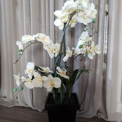 Real Touch White Orchids in a Black Metal Pot 

