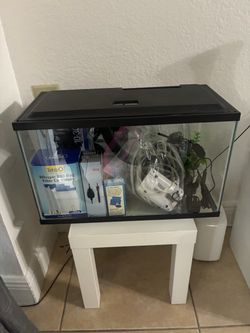Aquario para peces de 10 galones