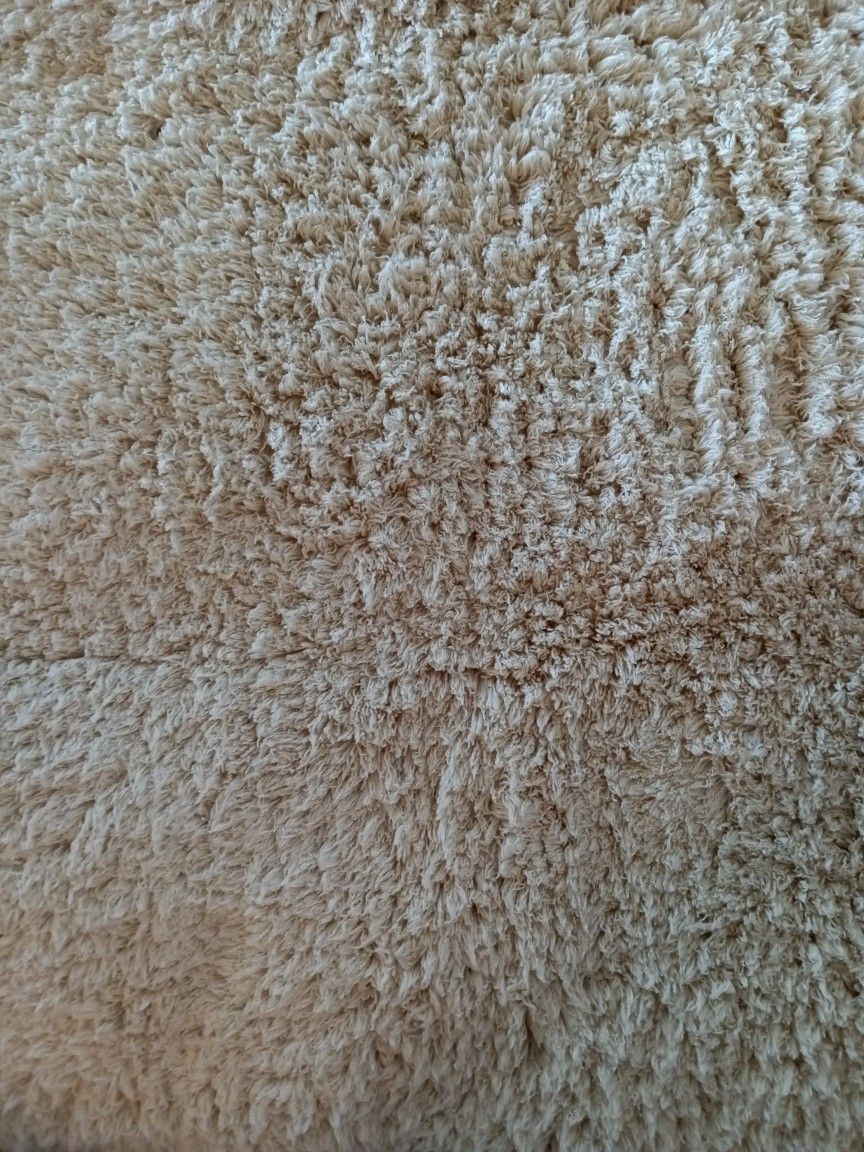 Beige Carpet Rug Carpets Rugs