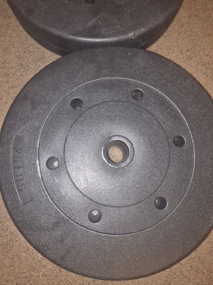 2 - 25 lb weight plates