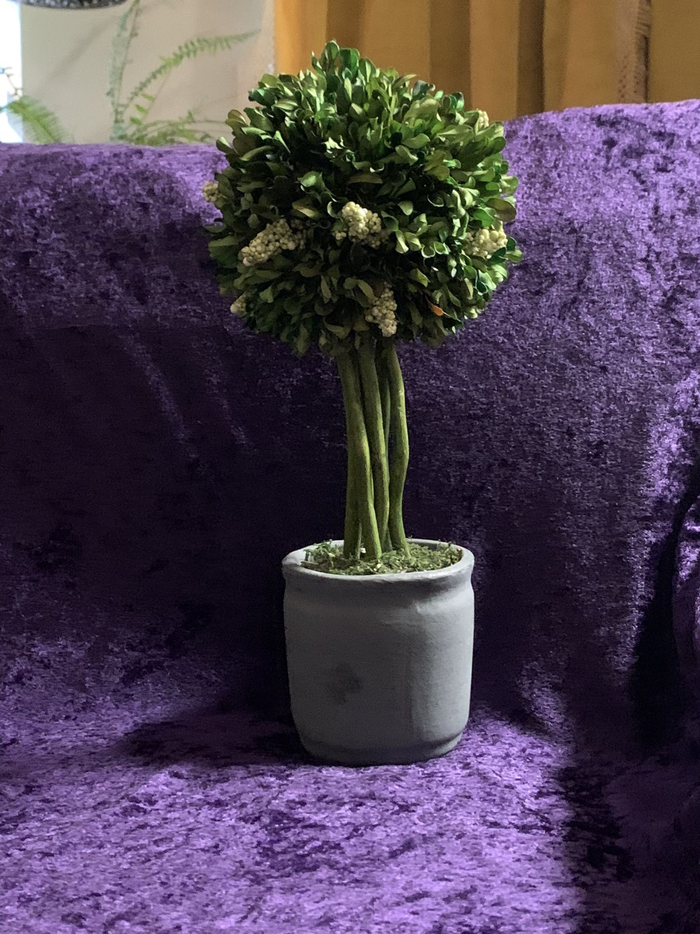 Artificial Plant That Won’t Die On You