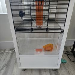 Hamster Condo With Supplies