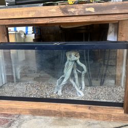 Aquarium And Stand 