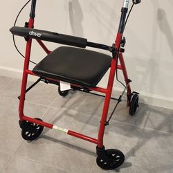 Mobility Walker