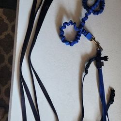 Cat Harness & Bungee Leash including 2 extra leashes