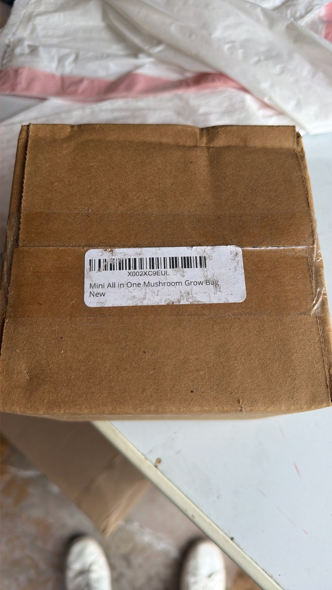 Mushroom Grow Bags