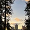 Angeles