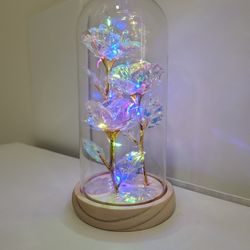 LED Glass Preserved Rose Decoration