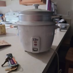 Rice Cooker Steamer 