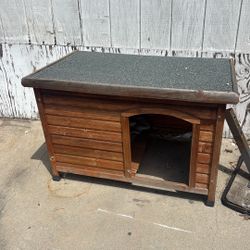 Dog House 