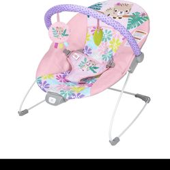Brand new Bright Stars Bouncer