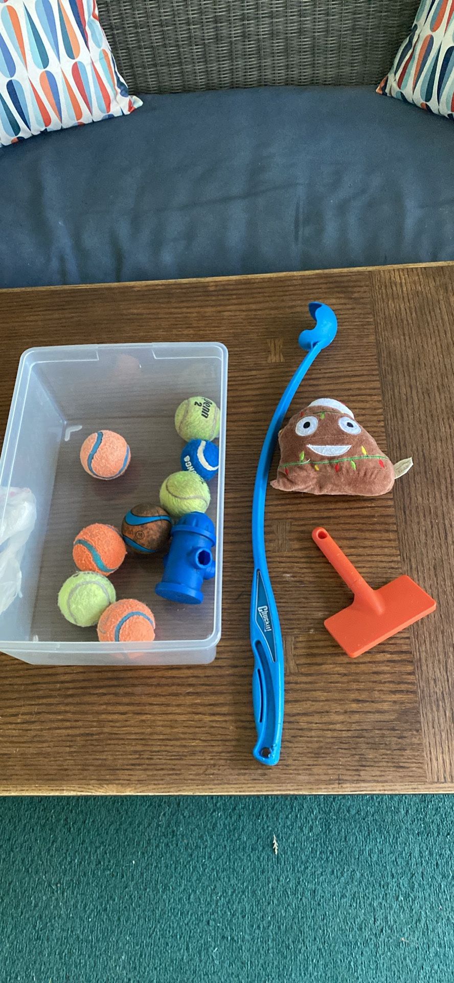 PENDING: Free Dog Toys