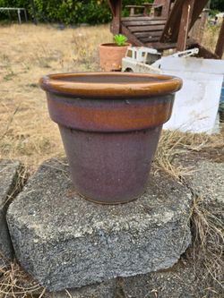 Pot